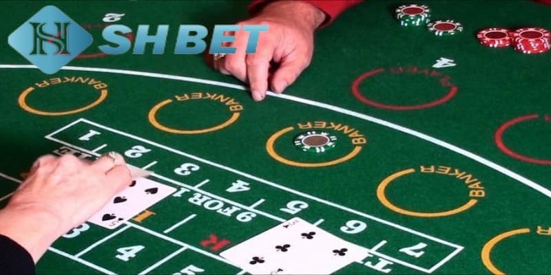 Khám phá cách chơi baccarat chung nhất