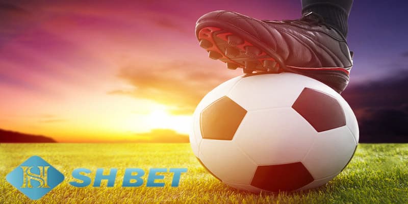 Khám phá những tỷ lệ kèo trên dưới trong bóng đá