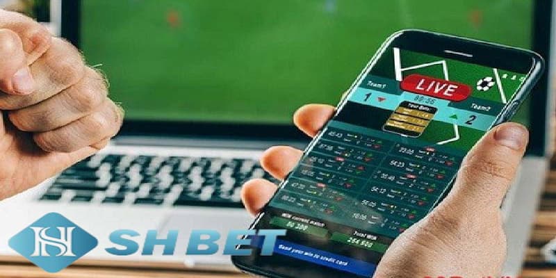 Tổng hợp một số phần mềm soi Odds hot nhất hiện nay