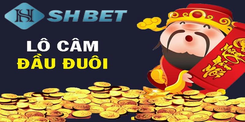 Khám phá soi cầu lô câm là gì?
