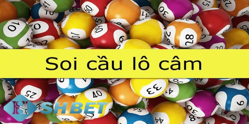 Phương pháp thống kê soi cầu lô câm theo đầu và đuôi câm