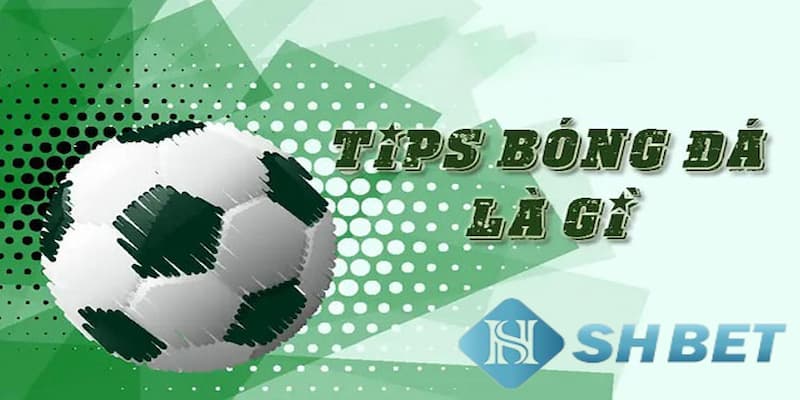 Khám phá tips bóng đá là gì?