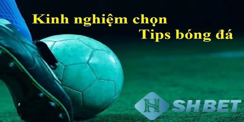 Câu hỏi thường gặp