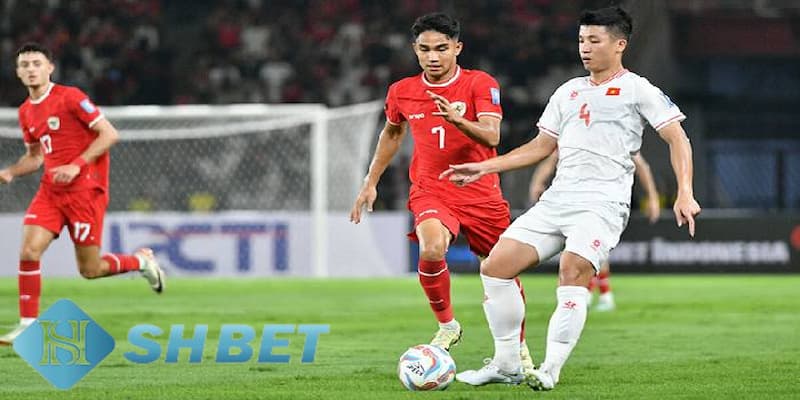Kinh nghiệm đặt cược với tỷ lệ kèo Indonesia