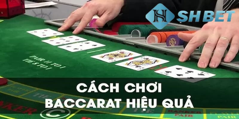 Tối ưu chiến thắng theo cầu trong chiến thuật chơi baccarat
