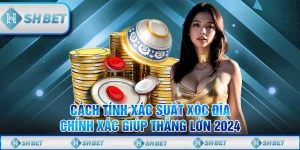 Cách Tính Xác Suất Xóc Đĩa Chính Xác Giúp Thắng Lớn 2024