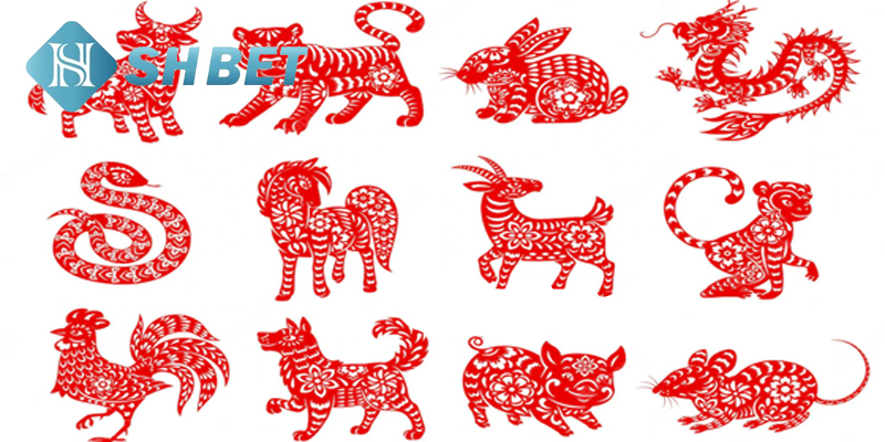 Công cụ dự đoán chuẩn xác