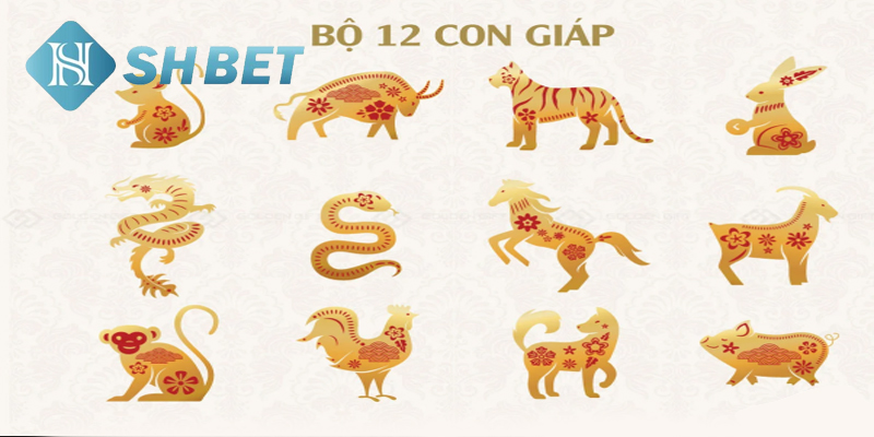 Bí quyết thắng lớn tại SHBET