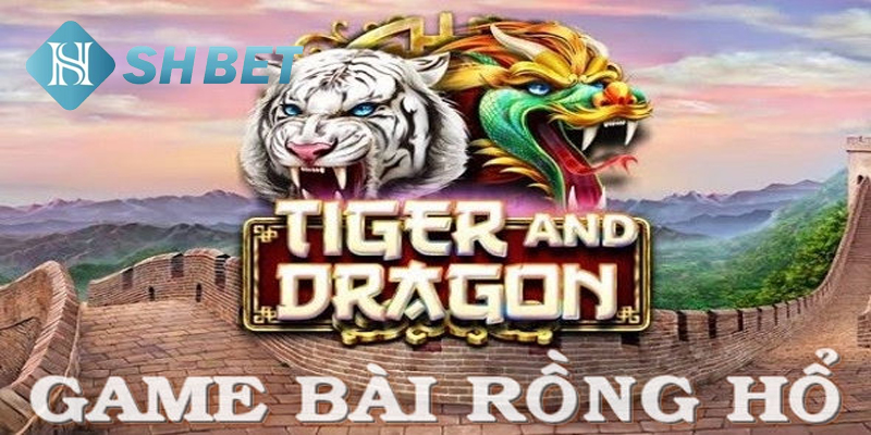 Chơi rồng hổ 99 SHBET mang lại cơ hội thắng lớn cho người chơi
