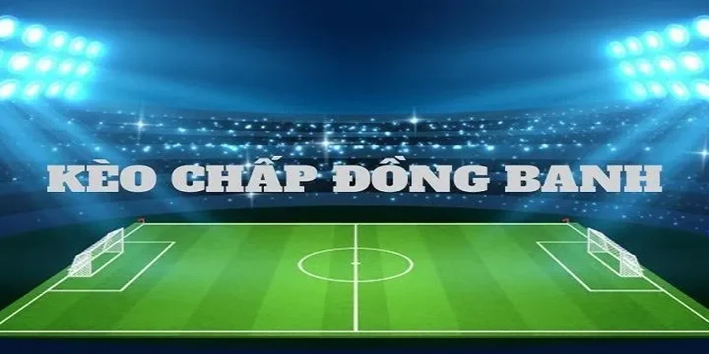 Kèo đồng banh nửa trái được nhiều người lựa chọn