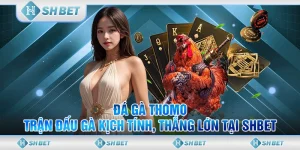 đá gà thomo