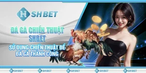 Đá Gà Chiến Thuật SHBET- Sử Dụng Chiến Thuật Để Đá Gà Thành Công
