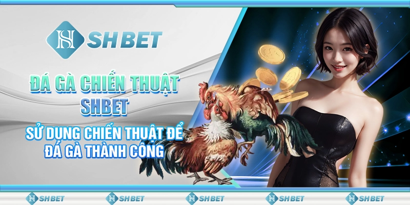 Đá Gà Chiến Thuật SHBET- Sử Dụng Chiến Thuật Để Đá Gà Thành Công