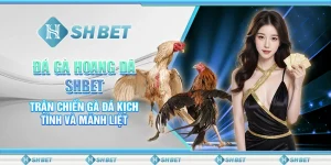 Đá Gà Hoang Dã SHBET- Trận Chiến Gà Đá Kịch Tính Và Mãnh Liệt