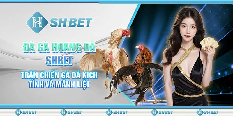 Đá Gà Hoang Dã SHBET- Trận Chiến Gà Đá Kịch Tính Và Mãnh Liệt