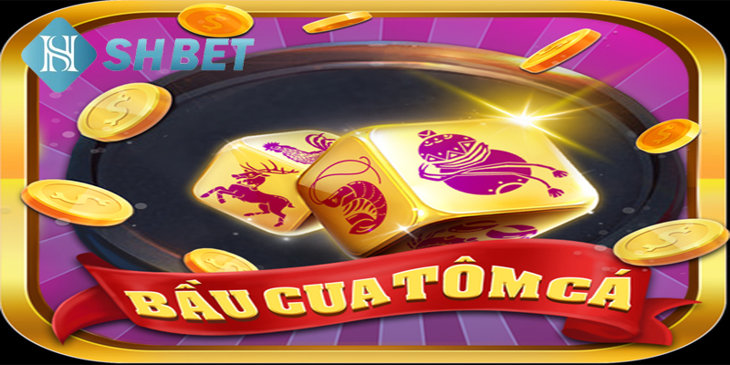 Từng bước đặt cược theo vốn bỏ ra cho game