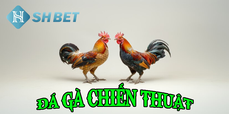 Chiến thuật thông minh