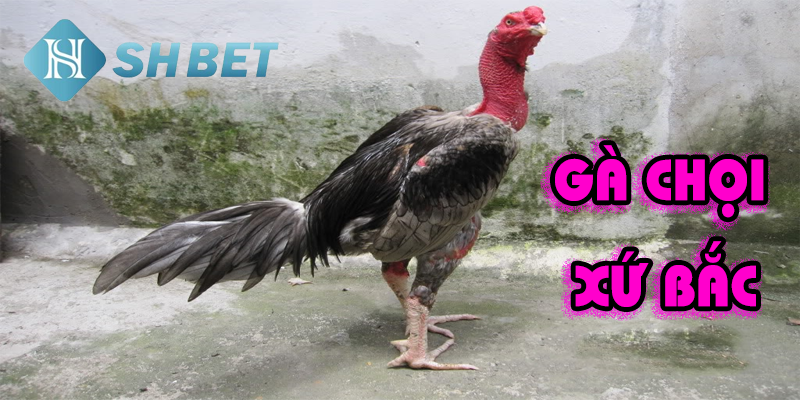 Cơ hội về tay, rinh ngay thưởng lớn