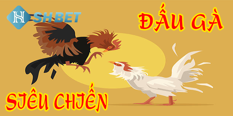 Đấu gà siêu chiến- tựa game đấu gà hấp dẫn 2024