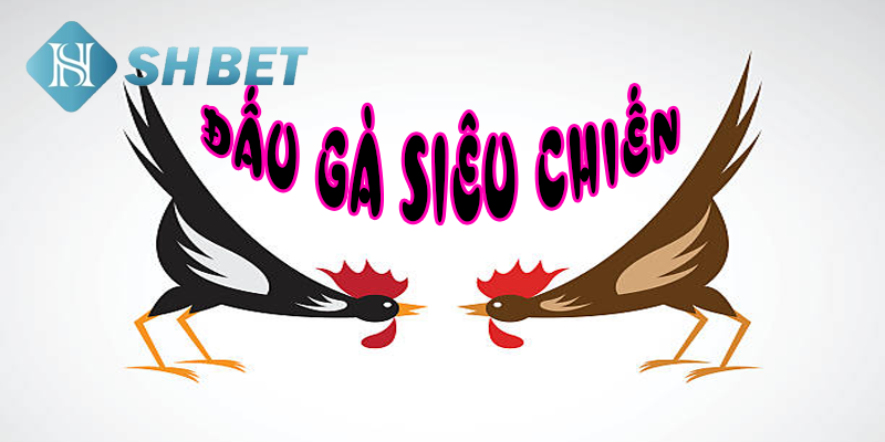 Trải nghiệm nhiều cung bậc cảm xúc từ sân chơi cá cược
