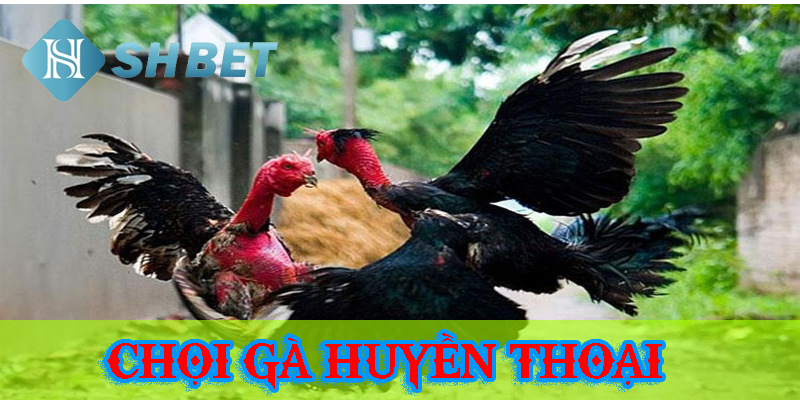 Hướng dẫn chi tiết từ a đến z