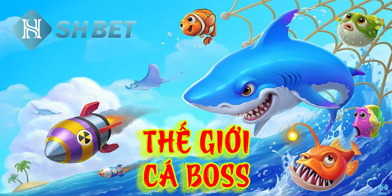 Lạc vào thế giới cá boss đa sắc màu