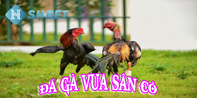 Mọi thông tin được bảo mật tuyệt đối không thể xâm phạm