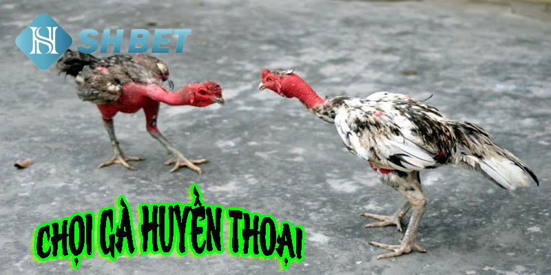 Một bước tham gia hàng trăm trải nghiệm