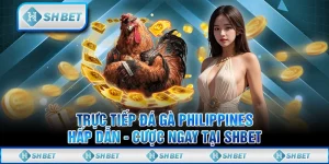 Trực Tiếp Đá Gà Philippines Hấp Dẫn - Cược Ngay Tại SHBET