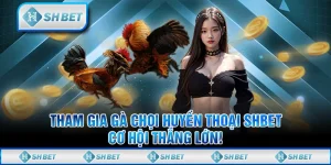 Tham Gia Gà Chọi Huyền Thoại SHBET, Cơ Hội Thắng Lớn!