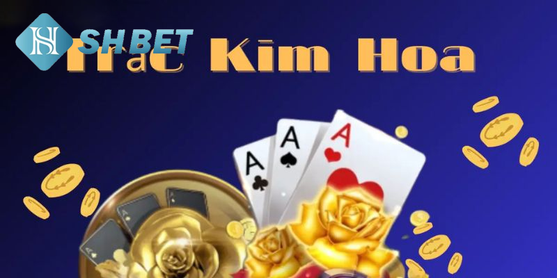 Tính năng trải nghiệm sống động, cuốn hút