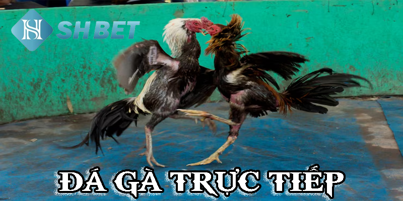 Ưu đãi chưa từng có cho người mới tham gia