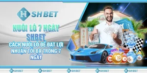 Nuôi Lô 7 Ngày SHBET – Cách Nuôi Lô Để Đạt Lợi Nhuận Tối Đa Trong 7 Ngày