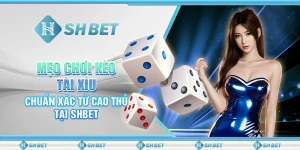 Mẹo Cược Bundesliga Chính Xác – Bí Quyết Chiến Thắng SHBET