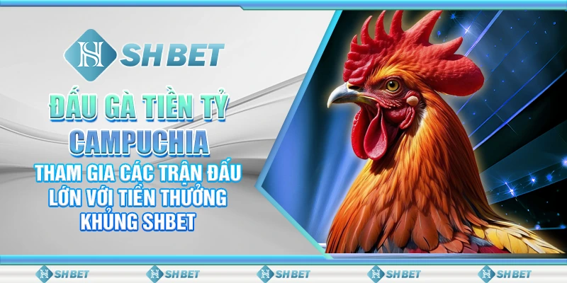 Đấu Gà Tiền Tỷ Campuchia – Tham Gia Các Trận Đấu Lớn Với Tiền Thưởng Khủng SHBET